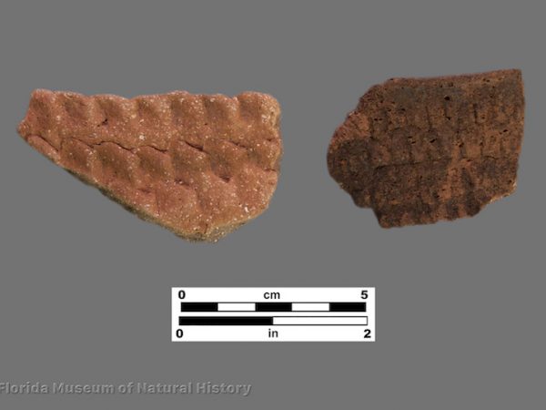 2 rims sherds with corrugated banding
