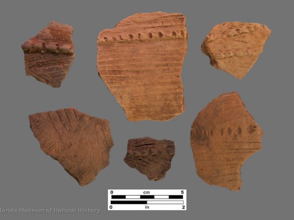 6 pottery sherds with brushed/incised exterior surfaces
