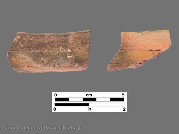 2sherds of pottery with engraving below rim.