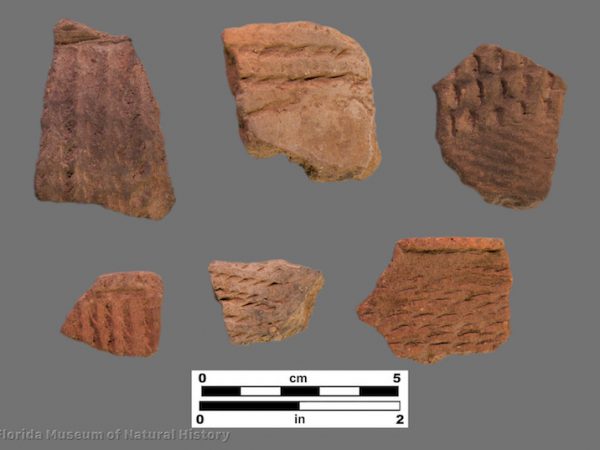6 sherds of pottery with linear bands of punctation like cord-marking