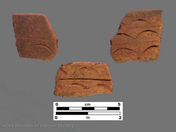 3 sherds of pottery with large half moon impressions