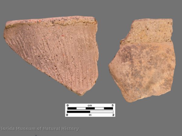 2 sherds of brushed pottery