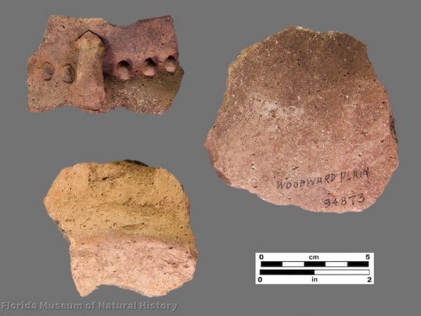 3 sherds of pottery with shell tempering and appliques