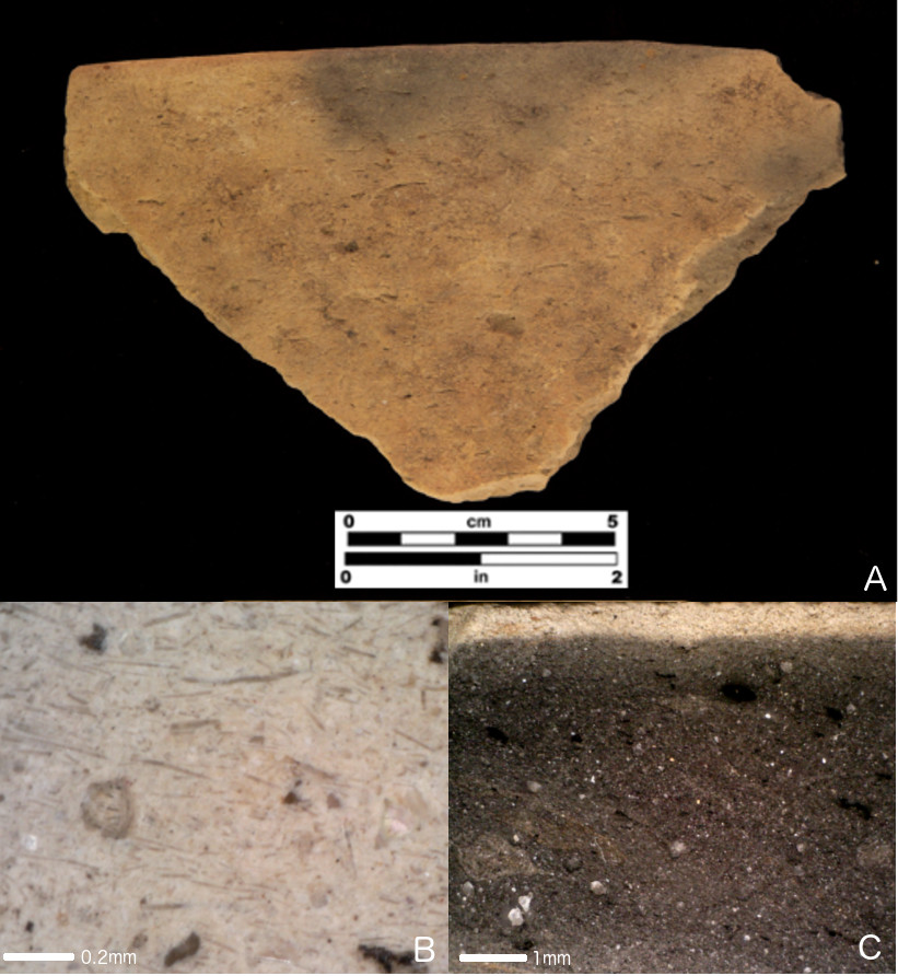 Florida spiculate pottery; a) St. Johns Plain sherd; b) sherd surface at 200× magnification, showing spicules in dominant parallel orientation; c) cross-section at 50× magnification showing dark firing core and fine-grained texture.