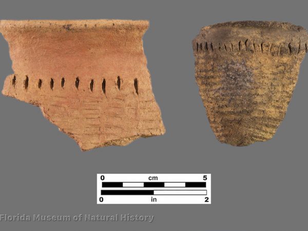 Cartersville Check Stamped