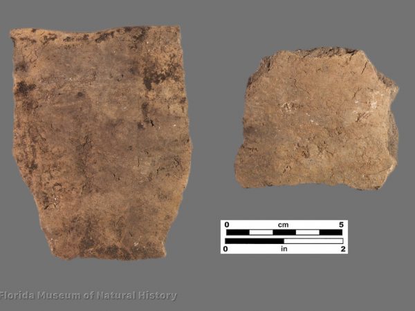 Fig Springs Roughened, var. Santa Fe