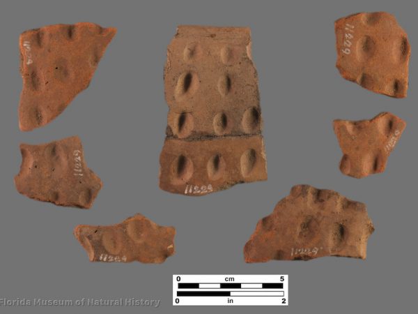 Hare Hammock Surface Indented