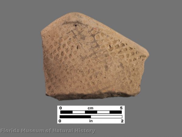 Papys Bayou Check Stamped