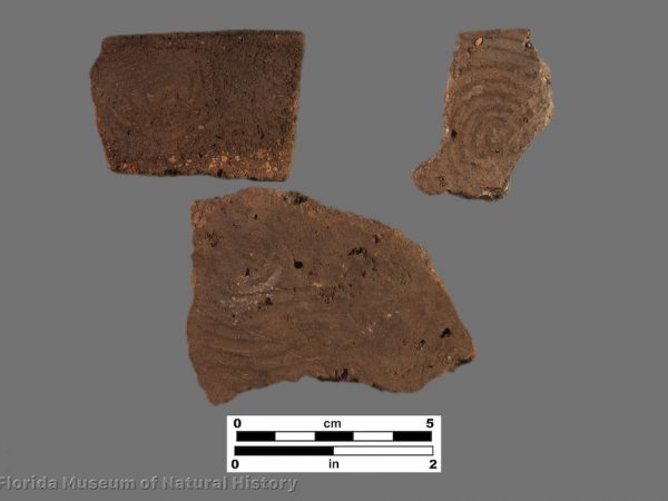 Pasco Complicated Stamped