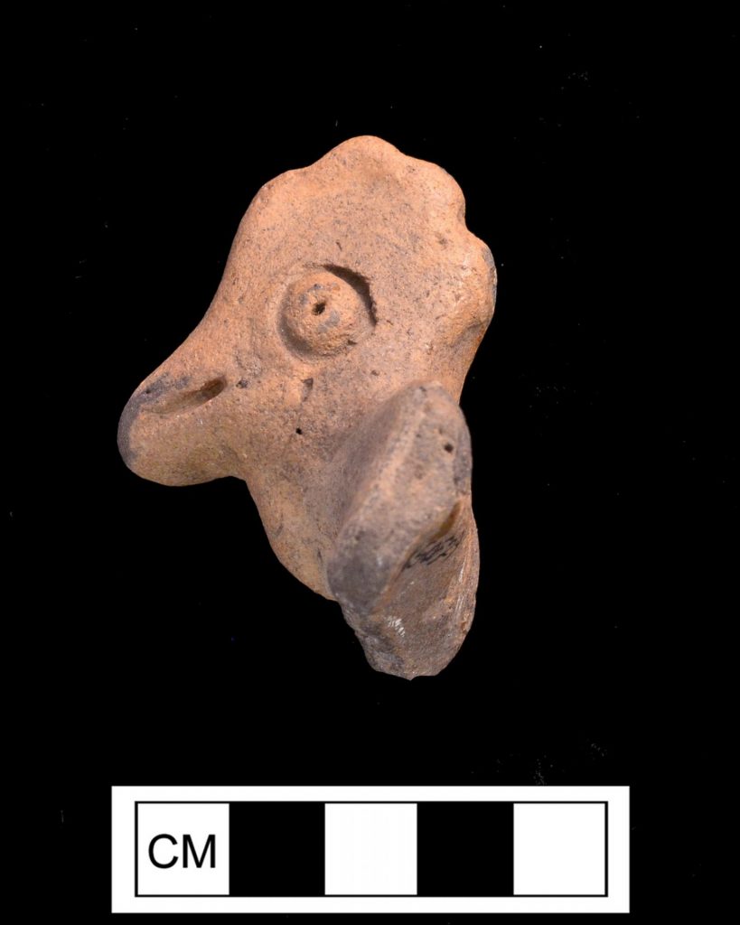 crested bird-like ceramic specimen photo with ruler