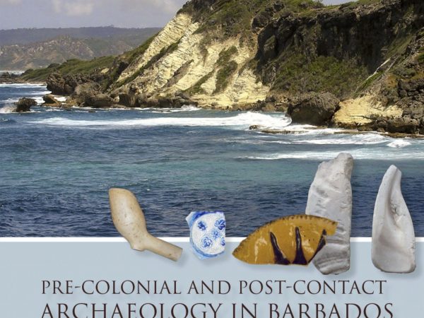 Book cover showing white cliff over water, and historic artifacts superimposed in foreground