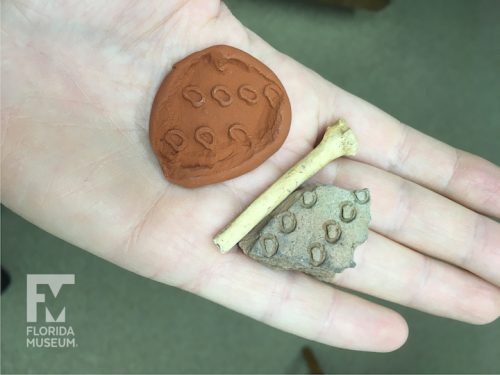 hand holding a pottery sherd, clay impression of it, and a bone