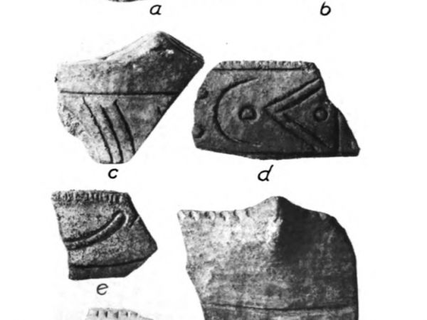 Page of sherds from Willey 1949