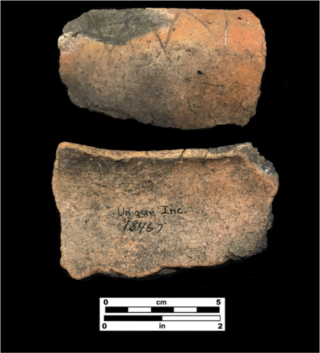 Rim sherd with triangular incisions