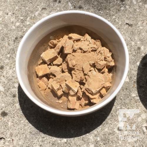 dry clay nodules in bowl