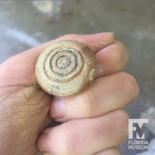 wooden knob carved with bulls eye