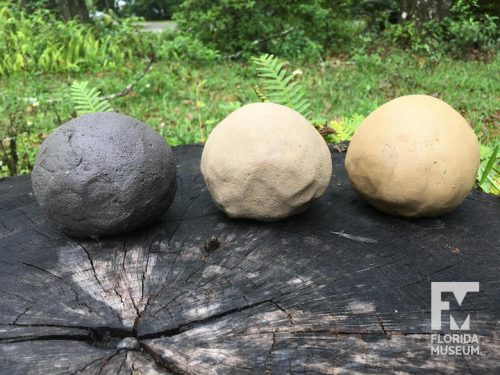3 balls of clay on a tree stump