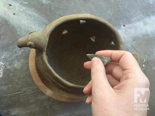 Top down view of pot with shark tooth in hand