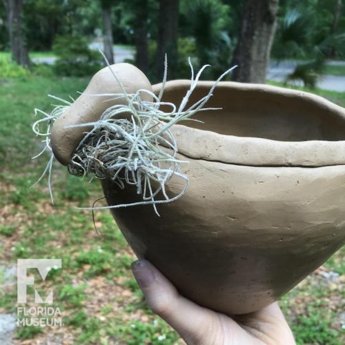 pot with knob on top, held in place with moss