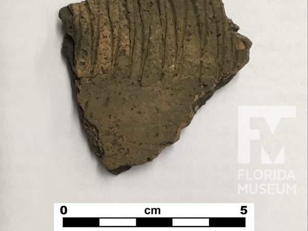 Pottery sherd with zig-zag line decoration and small pits