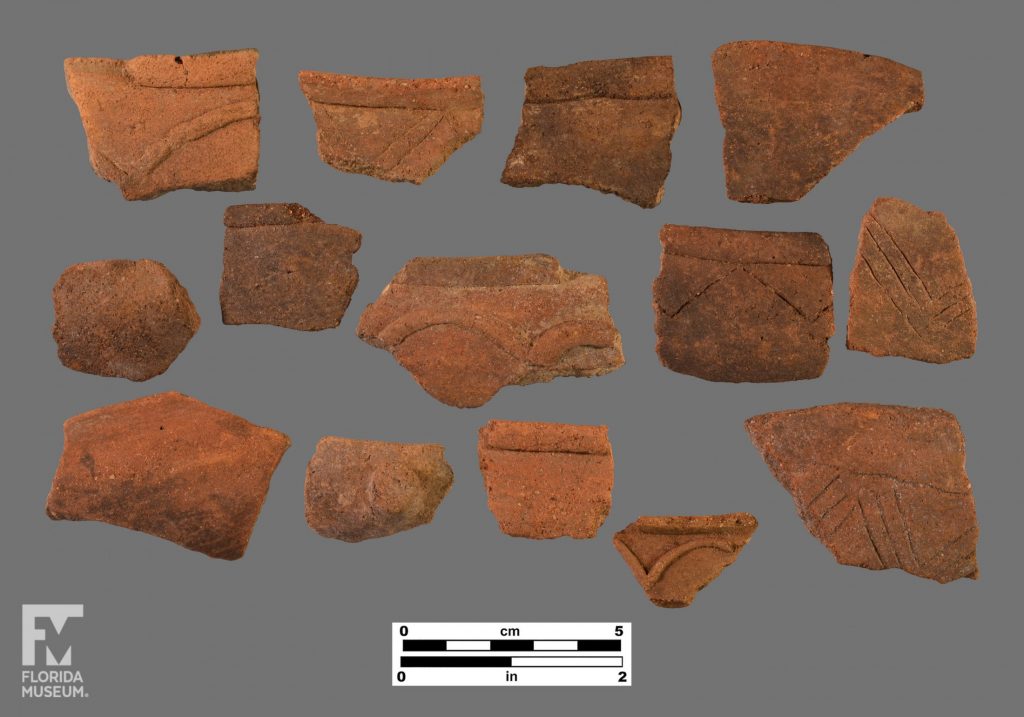Formal artifact photo of 14 reddish brown rim sherds with triangular incised bands or applied arch bands below rim.
