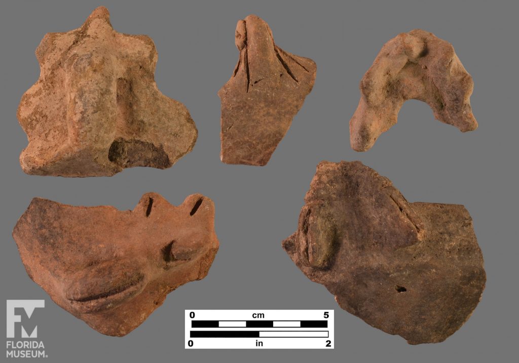 Formal artifact photo showing five sherds with different types of modeling and adornos