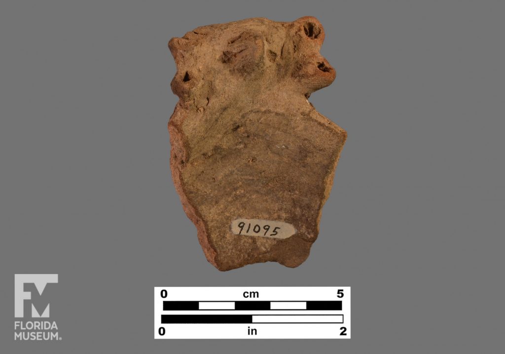 Formal artifact photo showing a pottery rim sherd with an unidentified modeled effigy