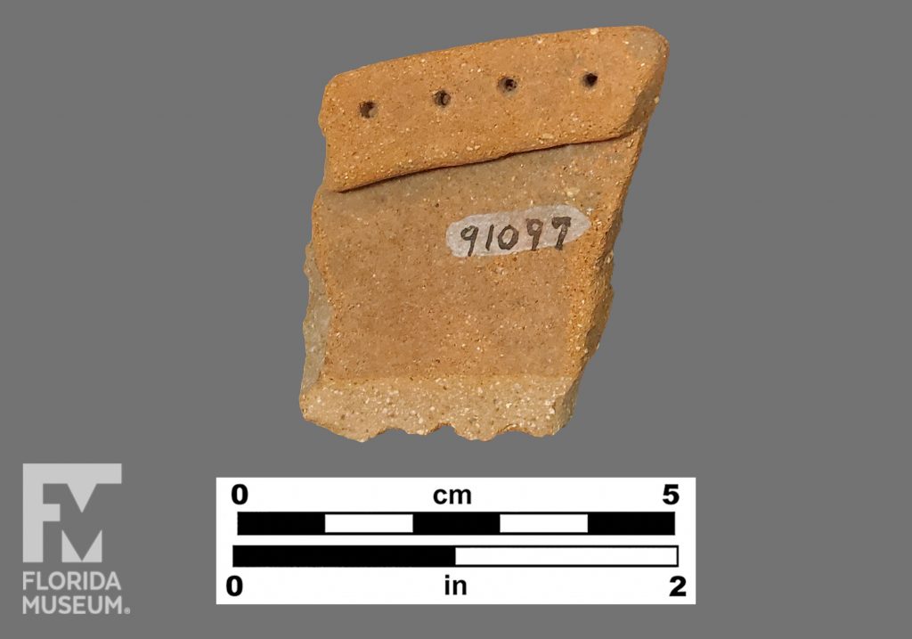 Formal artifact photo of a sherd with folded rim and small round punctations