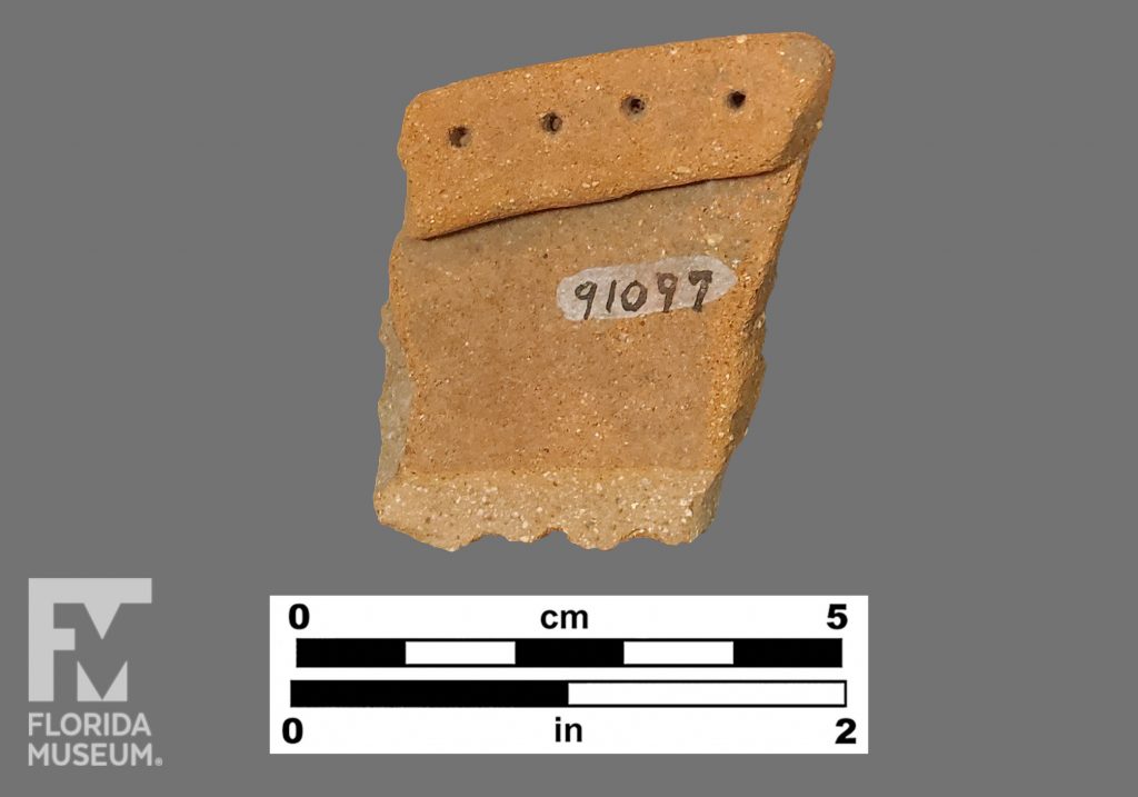 Formal artifact photo of a sherd with folded rim and small round punctations
