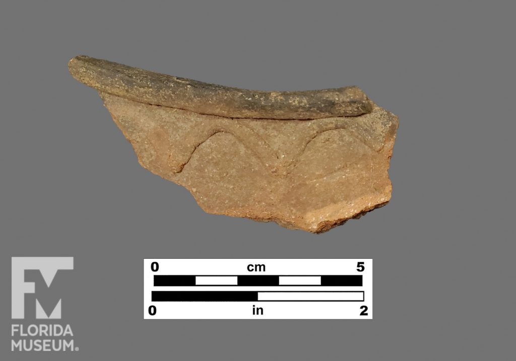 Formal artifact photo of sherd with folded rim and applied arched band