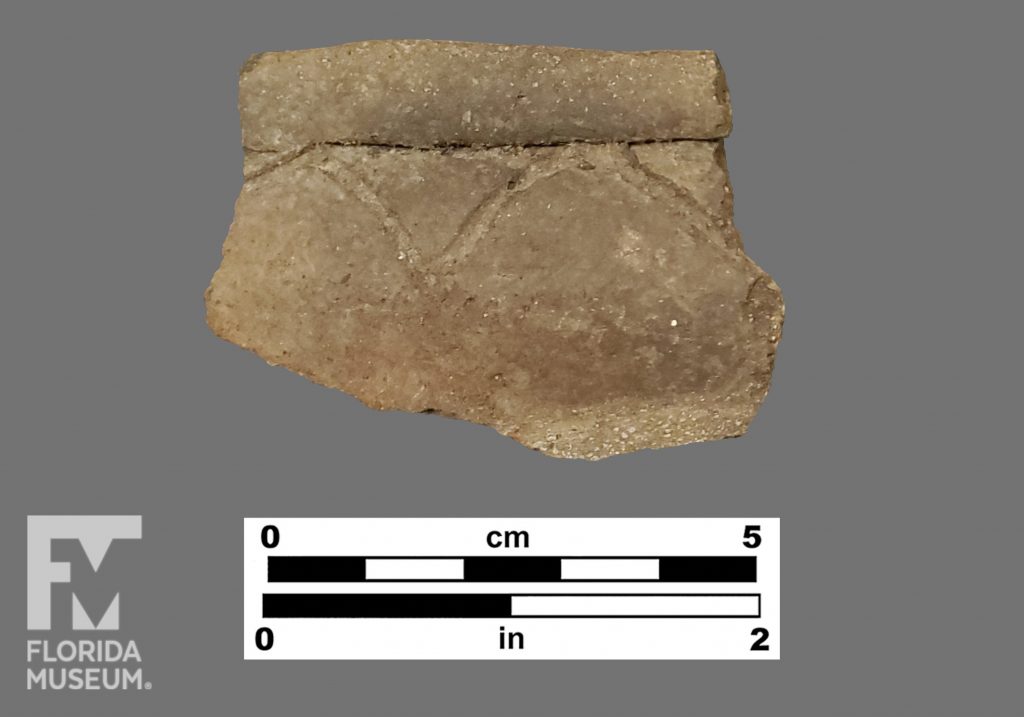 Formal artifact photo of sherd with folded rim and arched incised decoration