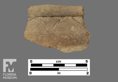 Formal artifact photo of sherd with folded rim and arched incised decoration