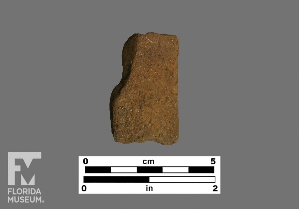 Undecorated rim sherd