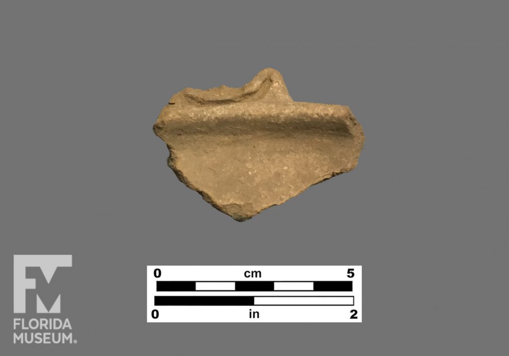 Formal artifact photo of a sherd with an incised rim lug