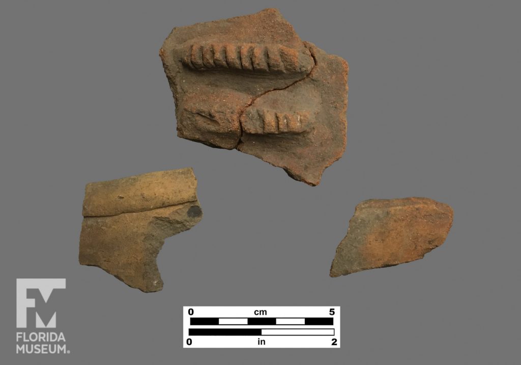 Formal artifact photo of three sherds of pottery, one with folded rim, one with two applied incised lengths of clay, and one plain body sherd.