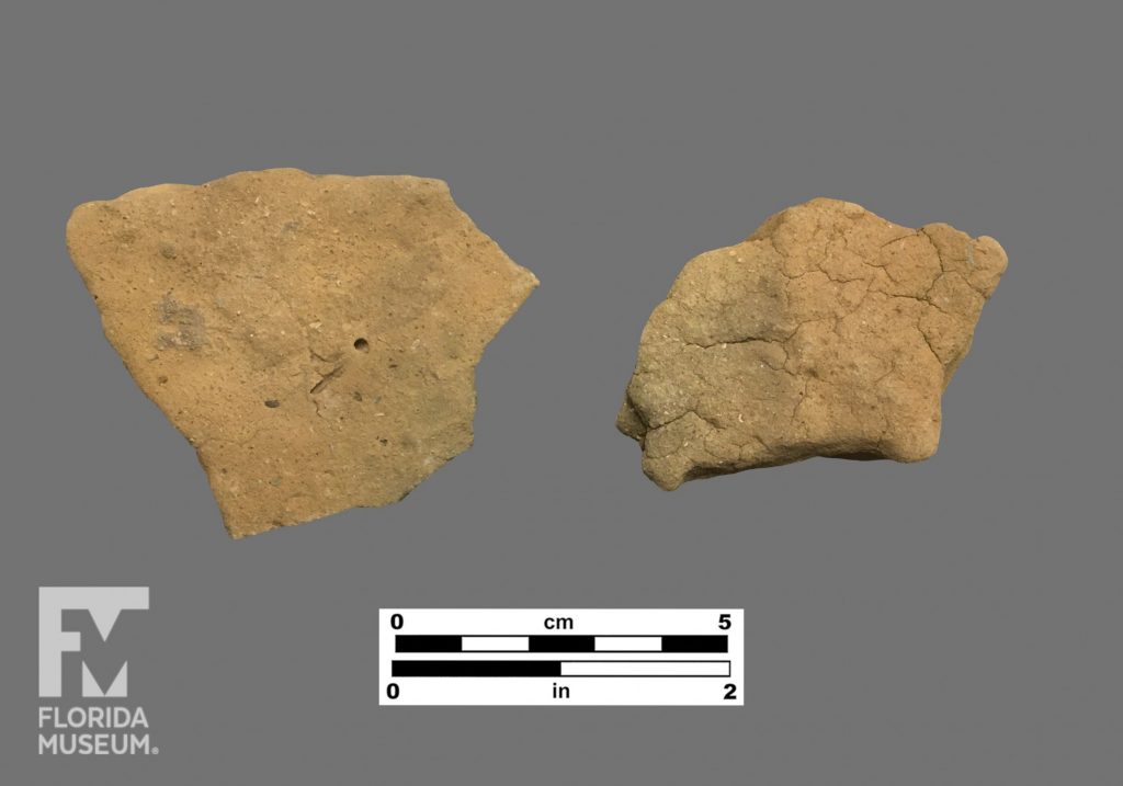 Formal artifact photo of two pale body sherds.
