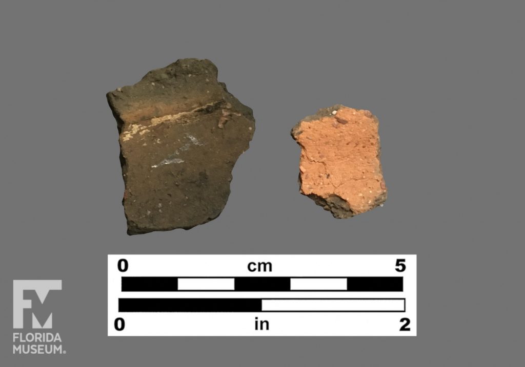 Formal artifact photo of plain body sherds; one black and one pink