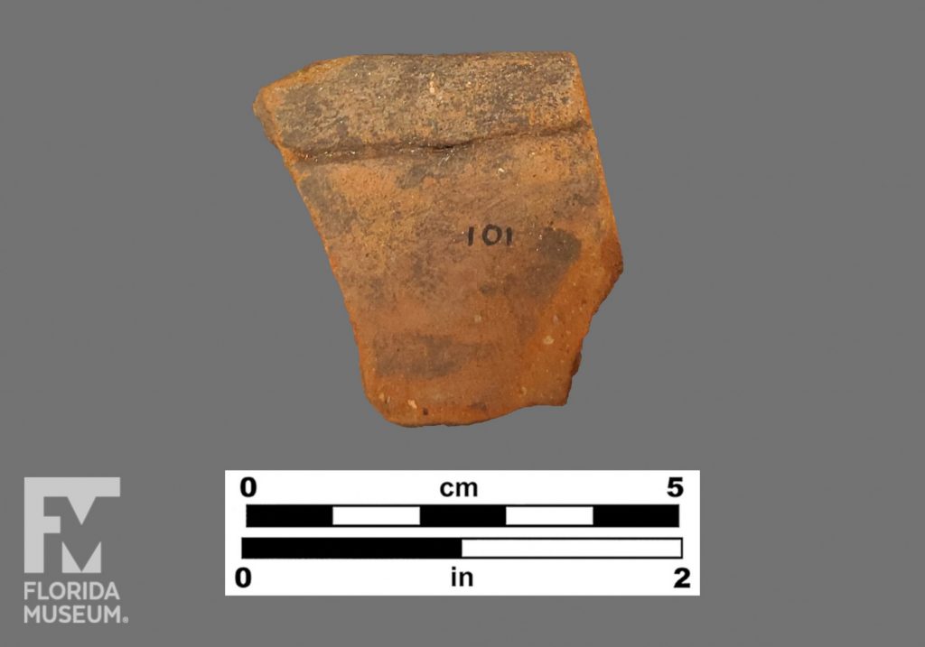 Formal artifact photo of sherd with folded rim.