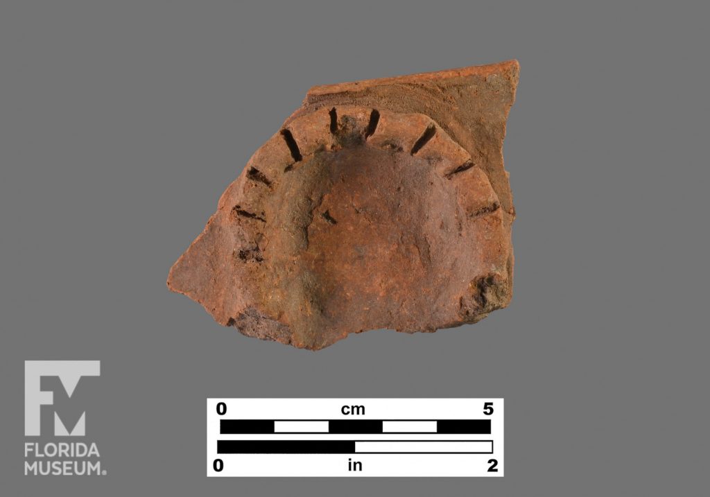 Formal artifact photo of a sherd with a U-shaped incised applied band.