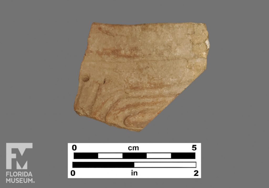 Formal artifact photo of an incised rim sherd with punctation.