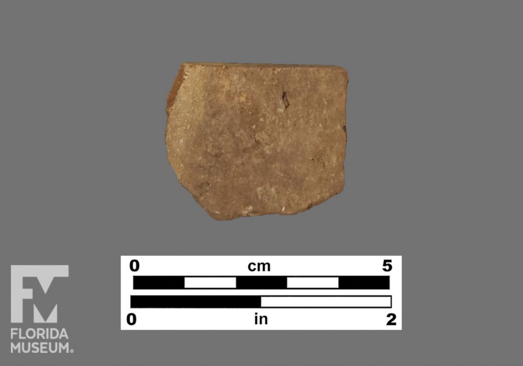 Formal artifact photo of an undecorated sherd.