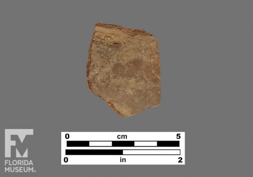 Formal artifact photo of an undecorated sherd.