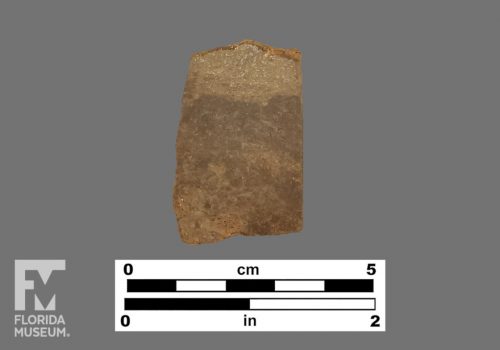 Formal artifact photo of an undecorated ceramic sherd.