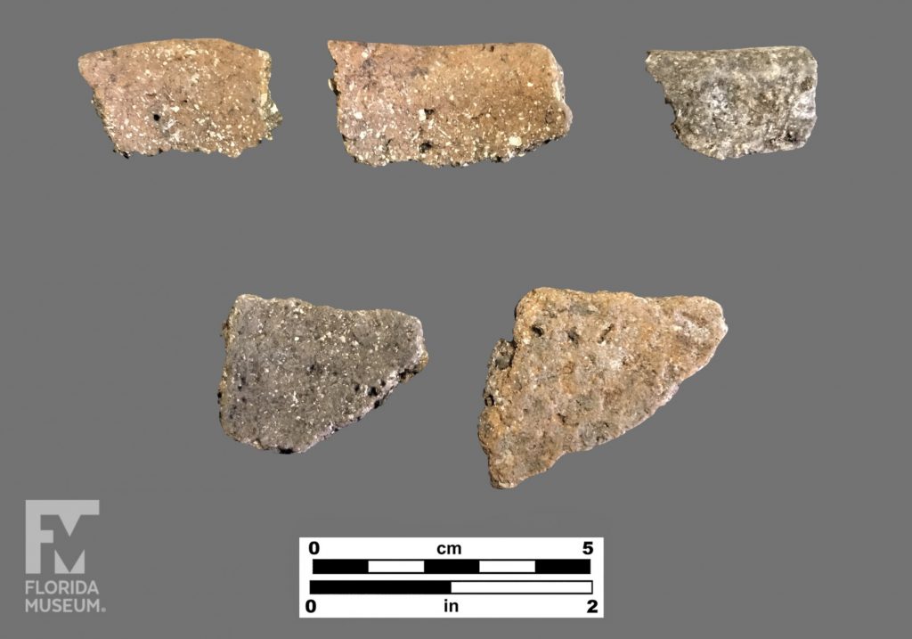 Formal artifact photo of five undecorated sherds.