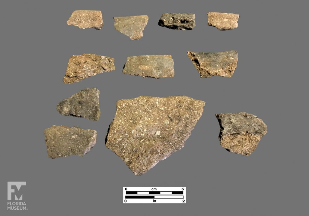 Formal artifact photo of eleven undecorated sherds.
