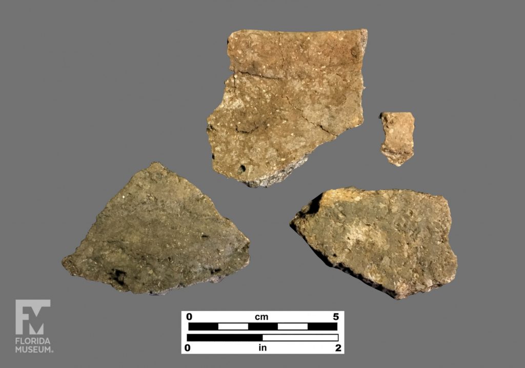 Formal artifact photo of four undecorated sherds.