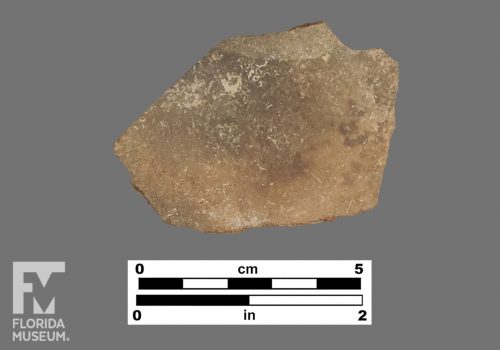 Formal artifact photo of an undecorated sherd.