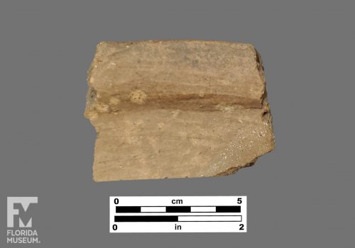 Formal artifact photo of a rim sherd.