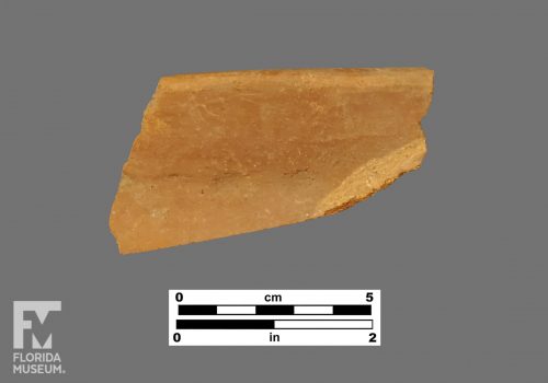 Formal artifact photo of a rim sherd.