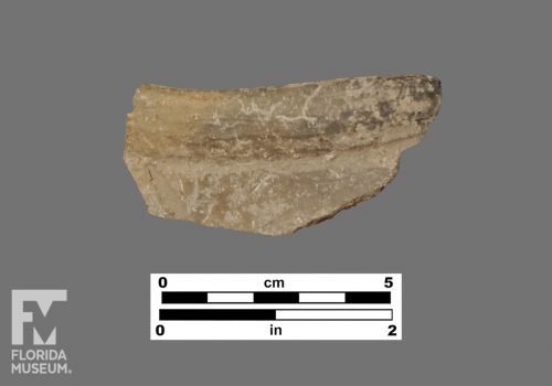 Formal artifact photo of an incised rim sherd.